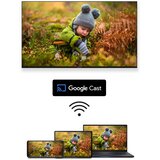 Thomson 50QG5C14 TV 127 cm (50) 4K Ultra HD Smart TV Wi-Fi Grey | shoptok.hr
