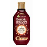 Garnier botanic therapy ginger recovery šampon 250ml ( 1003002127 ) Cene
