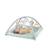 Kids II ingenuity podloga za igru - chic boutique 0-36m ( SKU12919 ) | ePonuda.com