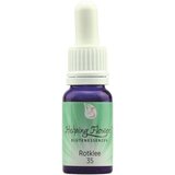 Helping Flowers® nr. 35 Črna detelja Cene