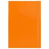  Folder for documents with elastic band, hard, office, orange, A4/4.5 cm | shoptok.hr