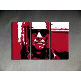  Ručno slikane slike na platnu pop art terminator | ePonuda.com