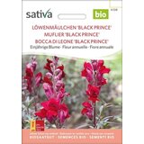 Sativa Bio odolin "Black Prince" Cene