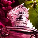 Guerlain La Petite Robe Noire Absolue parfemska voda za žene 50 ml | shoptok.hr
