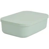Svijetlo zelena plastična kutija za pohranu s poklopcem 24x18x8 cm –