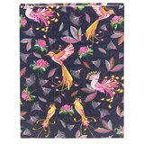 Goldbuch bilježnica bez linija sa tvrdim koricama A5 Tropical Birds Blue | shoptok.hr
