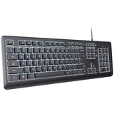 Trust Primo Illuminated keyboard SRB USB-A/USB-C Cene