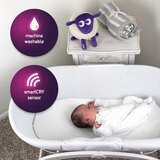 Sweet dreamers ovčka ewan deluxe violet | Shoptok.si
