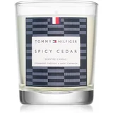 Home Collection Spicy Cedar sveča 180 g