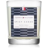 Tommy Hilfiger Home Collection Spicy Cedar svijeća 180 g cijene