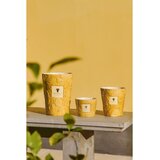 Baobab Collection Paz Dove mirisna svijeća 1000 g | shoptok.hr