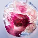 Lancôme La Vie Est Belle Rose Extraordinaire parfemska voda za žene 30 ml | shoptok.hr