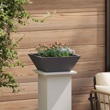  Vrtna saksija 5 pcs Crna 40 x 40 x 15 cm Čelična vrata | shoptok.hr