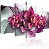  Slika - Ruby Queen 200x100 Cijene