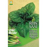 ReinSaat Špinača "Matador" Cene