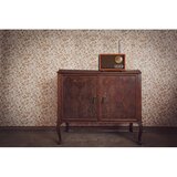 Adler AD1171 retro radio | ePonuda.com