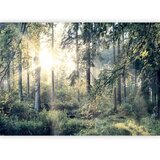  Foto tapeta - Tales of a Forest 300x210 Standard | shoptok.hr