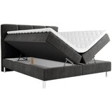Esposa POSTELJA Z VZMETNICO 140 cm x 200 cm , tekstil barve grafita | Shoptok.si