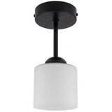 Brilagi LED plafonski luster RETRO GLASS 1xE27/60W/230V prečnik 10 cm crna/bela Cene