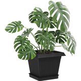  Kvadraten cvetlični pladenj 24 pcs Črna 15 x 15 x 2 cm Plastika, (5000207518) | Shoptok.si