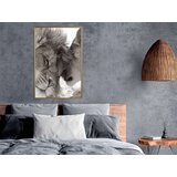  Poster - Predatory Couple 40x60 | shoptok.hr
