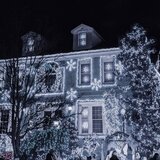 springos božićne lampice, 1000 LED, hladno bijele | shoptok.hr
