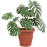  Saksije za biljke 24 pcs Crvena cigla Ø 22 x 18 cm Plastika | shoptok.hr