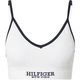 Tommy Hilfiger Underwear Nedrček marine / bela Cene