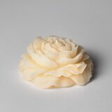 Nuaž Set Mirisnih sveća Peony, Bela Cene