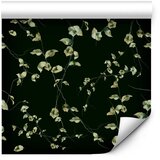  Tapeta - Evening Harmony 50x1000 | shoptok.hr