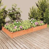 vidaXL Vrtna visoka greda s podlogo rjava 240x120x25cm trden les jelke | Shoptok.si