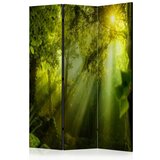  Paravan u 3 dijela - In a Secret Forest II [Room Dividers] 135x172 Cijene