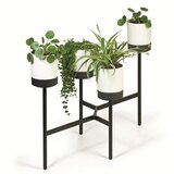Prosperplast Bloomie Stand stalak za cvijeće s 4 posude 125 × 55 × 81,5 cm – bijeli/crni | shoptok.hr