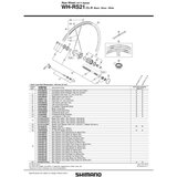 Shimano wh-rs21-cl-r freewheel ( Y49V98050 ) | ePonuda.com