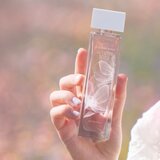 Elizabeth Arden White Tea Eau Florale toaletna voda za ženske 50 ml | Shoptok.si