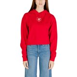 Tommy Hilfiger Puloverji TJW RLX CRP HEART HO DW0DW21408 Rdeča | Shoptok.si