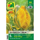 AUSTROSAAT Tulipani "Eagle Wings" - 5 čebu. | Shoptok.si