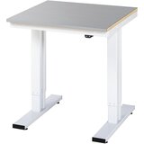 RAU Delovna miza, električno nastavljiva po višini, obloga iz nerjavnega jekla, nosilnost 300 kg, ŠxG 750 x 800 mm | Shoptok.si