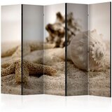  Paravan u 5 dijelova - Beach and shell II [Room Dividers] 225x172 Cijene