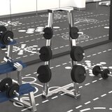 vidaXL Ploče za utege 6 kom 30 kg od lijevanog željeza Cijene