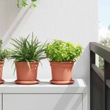  Saksije za biljke 24 pcs Crvena cigla Ø 15 x 12 cm Plastika | shoptok.hr
