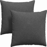 vidaXL Blazine za kavč 2 pcs Temno siva 80 x 80 cm Žametna tkanina | Shoptok.si