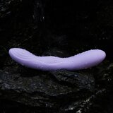 Svakom Vibrator Selena (R5408563) | Shoptok.si