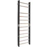 Monkey Gym Telovadna, švedska lestev za dom črna 230x80 cm, (5000077612) | Shoptok.si