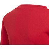 Adidas Funkcionalna majica 'Team Base' ognjeno rdeča / bela | Shoptok.si