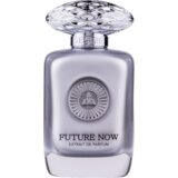 Auraa Desire Future Now Extrait de Parfum 100 ml Cijene