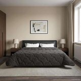 Puni Polna celoletna prevleka Šonerisan Antracit 220 x 240 cm, (5000284257) | Shoptok.si