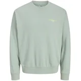 Muška majica JREBHAYDEN CREW NECK SWEAT SN, Zelena