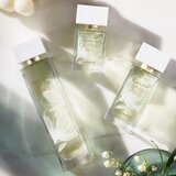 Elizabeth Arden White Tea Eau Fraiche toaletna voda za ženske 30 ml | Shoptok.si