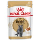 Royal Canin Breed mokra mačja hrana po posebni ceni! - British Shorthair Adult v omaki | Shoptok.si